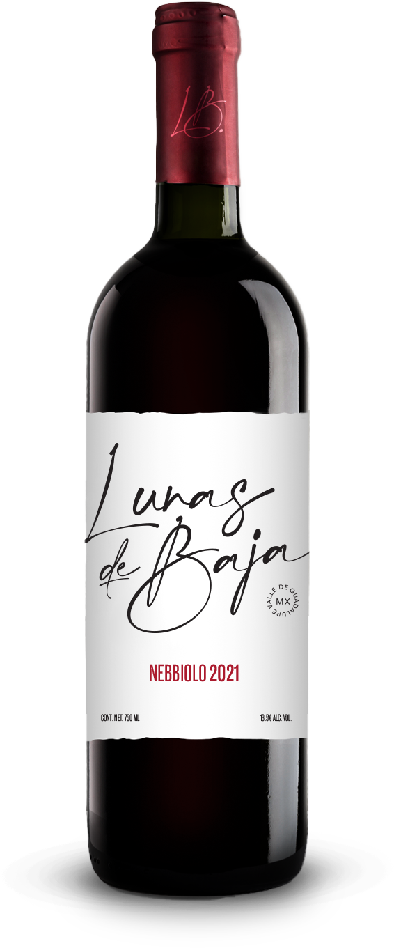 Nebbiolo