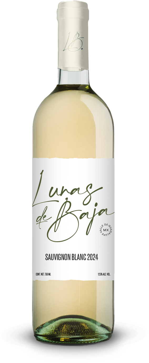 Sauvignon Blanc